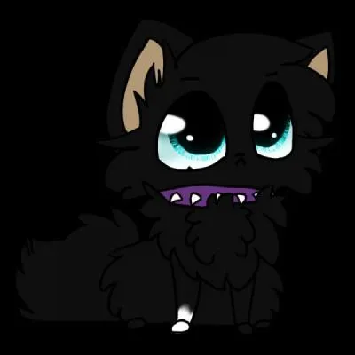 Quel petit chat noir du clan ennemi mourra ?