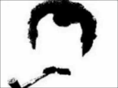 Dans une chanson de Georges Brassens que regardaient à travers de larges grilles, les femelles du canton ?