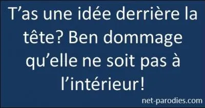 Quel chanteur interprète : 'Chienne d'idée' ?