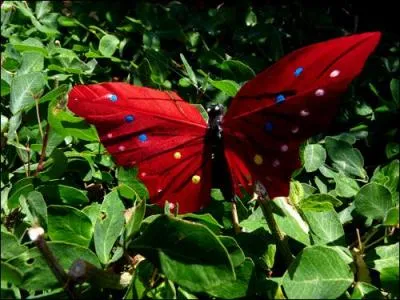 Son émis par un bébé lorsqu'il pleure :