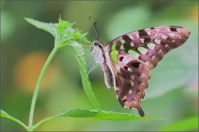 Exprime le contentement, la surprise, l'admiration :