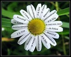 Trouvez l'orthographe exacte du mot.