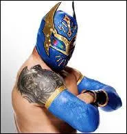 Qui est ce catcheur masqué ?