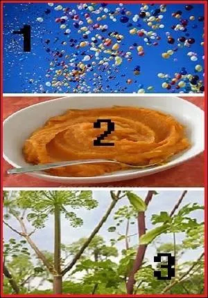 Qu'est-ce qui va soigner le météorisme (1) ?