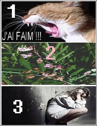 Qui va utiliser la gesse afin de soulager des douleurs torturantes ?