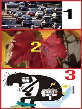 Que soigne la vigne rouge (2) ?