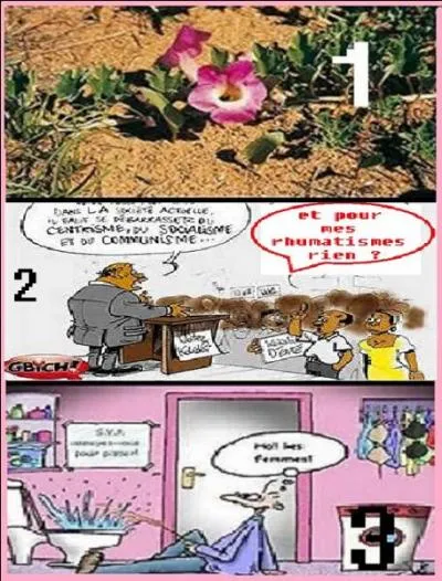 L'harpagophytum (1). Quel usage de cette plante faites-vous ?