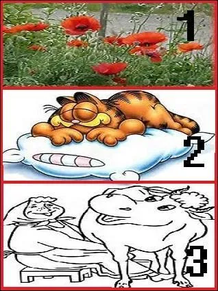 En fonction des vertus que l'on reconnaît à la plante (1), qui va s'en servir ?