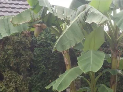 Occupation sportive qui consiste à avancer dans l'eau sans couler !