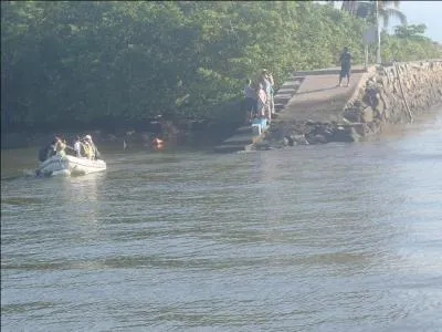 Médecine naturelle fondée sur les principes d'Hippocrate !