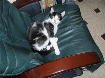 Carbonate de sodium hydraté naturel !