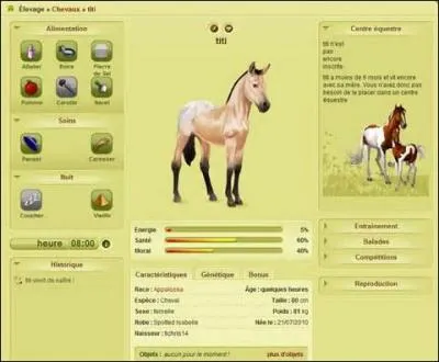 Quel est le nom de ce site ?