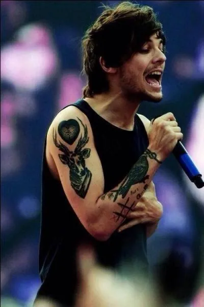 Quel est le jeu vidéo favori de Louis ?