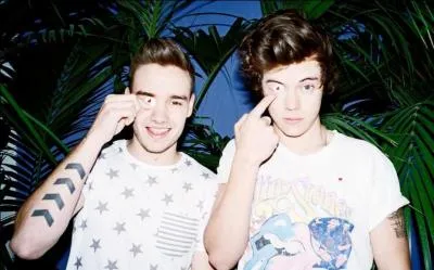 Liam est le seul membre du groupe à surnommer Harry :
