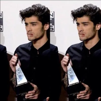 Combien de surs Zayn a-t-il ?