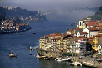 Quelle fleur est associée à la révolution portugaise ?