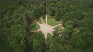 La forêt de Tronçais où les chênes dominent à 81% se trouve dans le département de l'Allier.