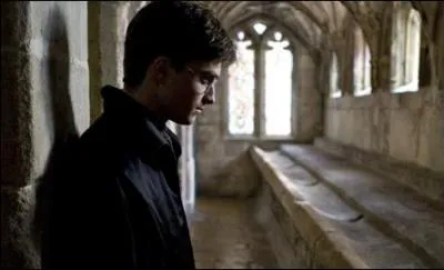 Comment appelle-t-on les créatures visibles uniquement par ceux qui ont déjà vu la mort ?