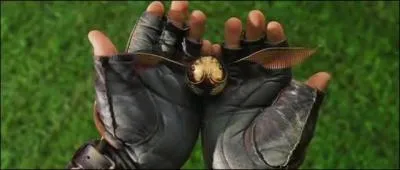 Au Quidditch, combien de points vaut le vif d'or ?