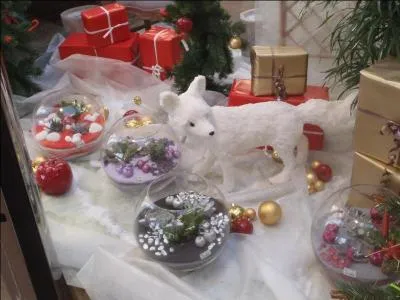 Chanteur : Quand j'étais triste en me réveillant - Moi je me consolais en rêvant à ...