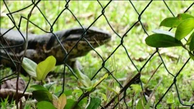 Occupation : loisir de vacancier !