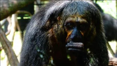 Expression : Ce n'est pas au professionnel que l'on va apprendre le métier !