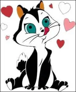 Qu'est-ce qu'une "Niniche de Quiberon" ?