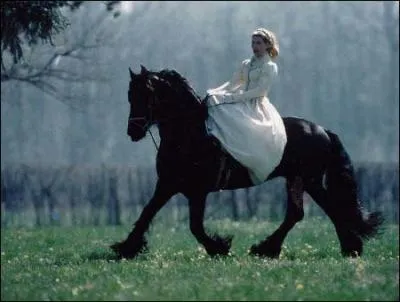 L'amazone : 
Quelle est la position pour la monte amazone ?