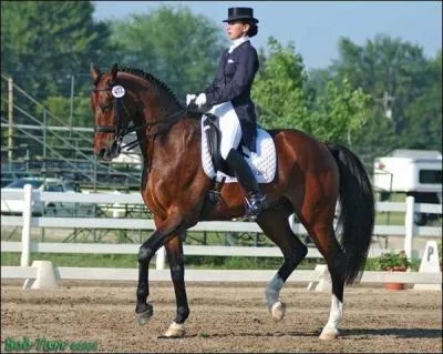 Le dressage : 
Quelle figure ne fait pas partie du dressage ?