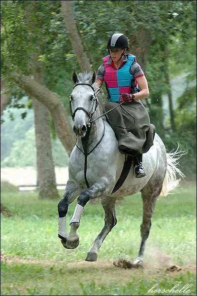Quelles sont les trois épreuves du concours complet ?