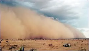 Tout le sable se soulève, se rassemble et forme une :