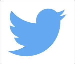 Quel est ce réseau social ?