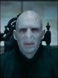 L'acteur qui joue Voldemort dans "Harry Potter" a-t-il un rapport avec les acteurs de "Doctor Who" ?