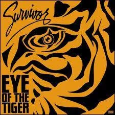 Quelle chanteuse a repris la chanson "Eye of the Tiger" de Survivor en 2006 ?
