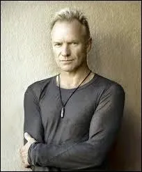 Complétez le titre d'une chanson de Sting : "Englishman in...