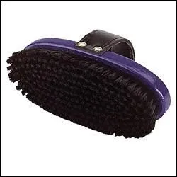 Comment s'appelle cette brosse ?