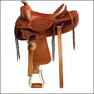 Comment s'appelle cette selle ?