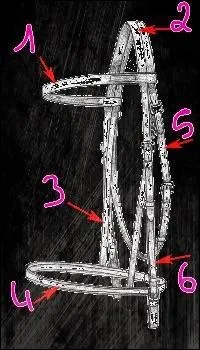 Comment s'appelle le 5) du filet ?