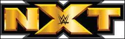 Quelle superstar de la NXT participa au Royal Rumble Match ?