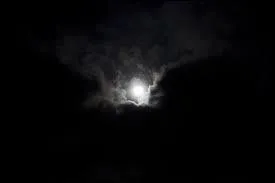 Parmi ces propositions, désignez celle qui est synonyme de "sombre"/"obscur" :