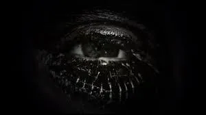 Quel terme anglophone désigne une importante panne de courant, plongeant ainsi une large zone dans l'obscurité ?