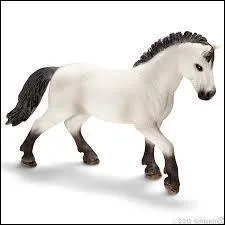 Quelle est cette race ?