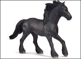 Quelle est cette race ?