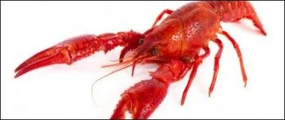 Comment dit-on "langouste" en breton ?