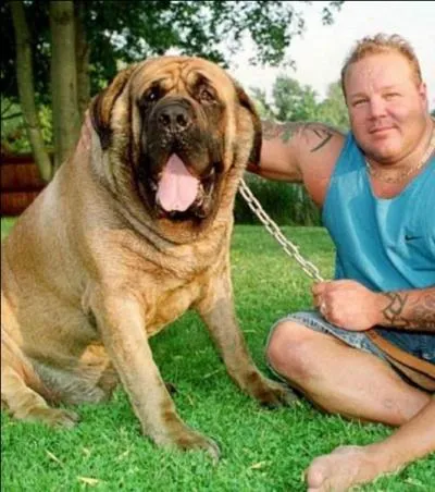 Un poisson peut être plus gros qu'un gros chien !