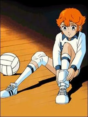 Dans cet anime, comment s'appelaient (en français) les deux joueurs de volley-ball amoureux l'un de l'autre ?