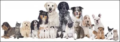 Combien de races de chiens sont reconnues en France ?