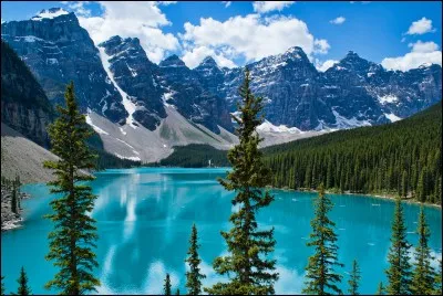 C'est une race de chien utilitaire, originaire d'une île canadienne, Ses pattes palmées, sa corpulence et sa docilité font de ce chien l'animal idéal pour le sauvetage, notamment en mer.