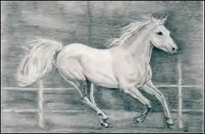 Le galop est une allure à :