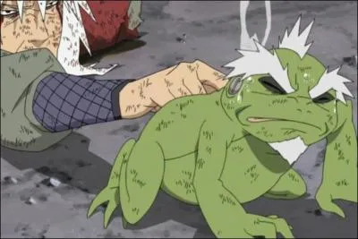 C'est grâce à ce livre que les héros de Konoha réussiront à décoder le message laissé par Jiraya sur le dos d'un crapaud ! Mais que révélait ce message exactement ?